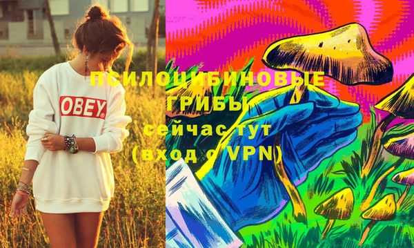 первитин Балахна